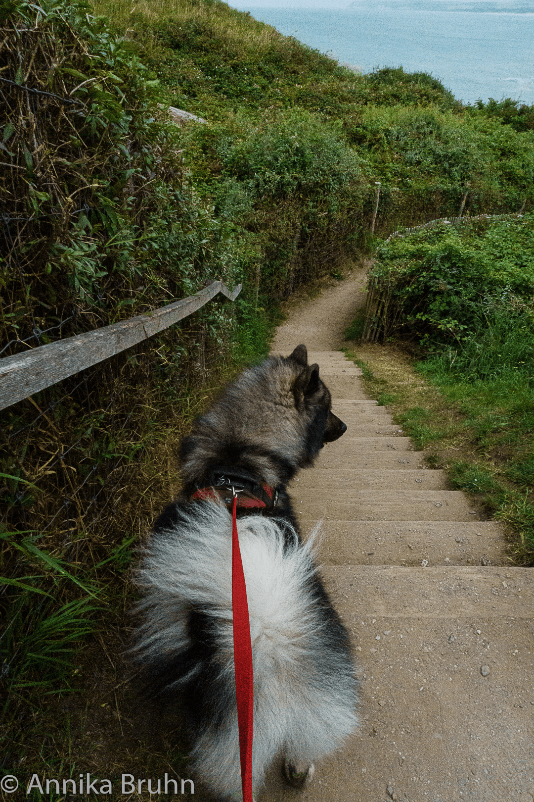 Q auf dem Wanderweg
